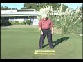 Golf Swing Path Trainer Golf Swing Path Trainer