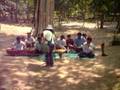 Landmine Victim Orchestra, clip 2