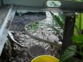 clean a/c for summer