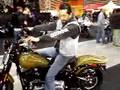 HARLEY-CROSS-BONES