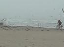 I ride my bike on the beach