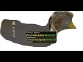 [RuneScape] - Sweet F2P Money Making Guide!