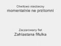 Śmieszne słowa w języku czeskim