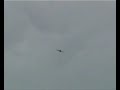 P-47 Thunderbolt (Hangar 9) 81\" span