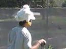 Chickenman Driving in Calistoga