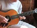 Thumpin' the Blues - lesson part 6 - acoustic instrumental