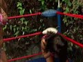 female wrestling Hollywood vs Vanessa Harding female wrestling Hollywood vs Vanessa Harding