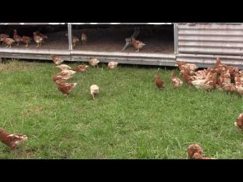 YouTube Preview Image