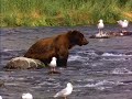 most relaxing video ont youtube   not scary  