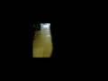 videos de Capi with Music fade out