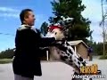 THE TALLEST DOG IN THE WORLD-amzing dog