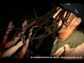 Hed pe Lets ride!