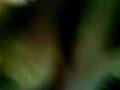 videos de Dilúvio em Ponta Grossa