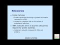 Cell Structure and Genetic Control - Cell Biology Review (Examville.com Education)