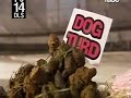 Rad Girls Episode 1 2nd Half Rad Girls Episode 1 2nd Half