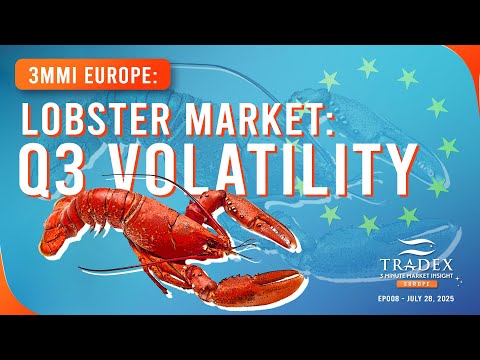 3MMI Europe - Q3 Lobster Market Volatility: Lower Landings, Higher Prices