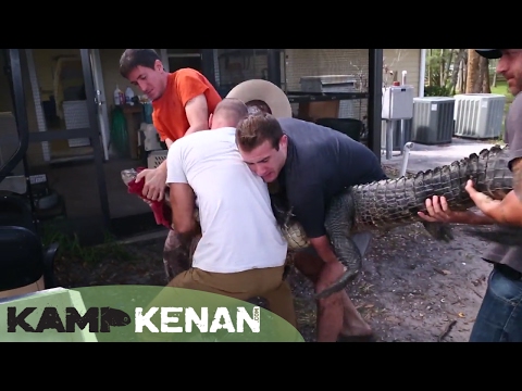 YouTube reptile video