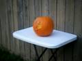 JG G36C Pumpkin Decimation