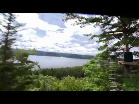 Voir le vidéo