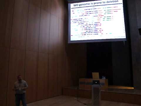 how to isolate wolbachia