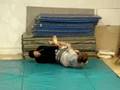 Urijah Faber/Charlie Valencia Public Workout 2