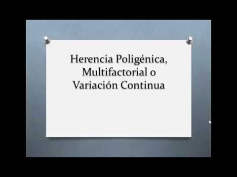 herencia poligenica}