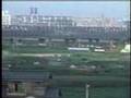 おたまじゃくし動画20