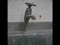 Dripping tap