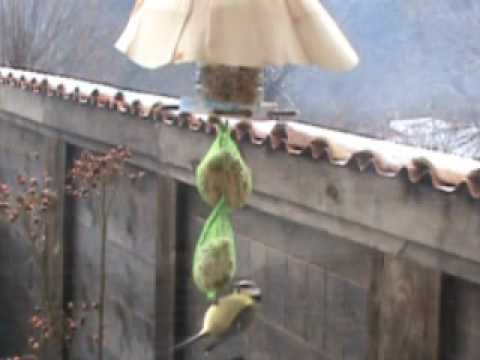 Image de prévisualisation YouTube