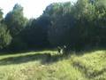 Stalkers- Slovenian Tolkien society-