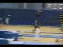Kayla Sienkowski, L10, Vault, 2008 Region 7 Championships