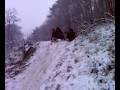 Luge