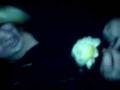I Love This Flower The Movie