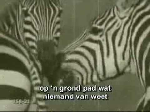 Robbie Wessels – Aan jou van My