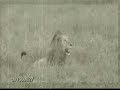 A Great Afrikaan song.