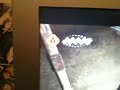 Weird Assassin's Creed II Glitch!
