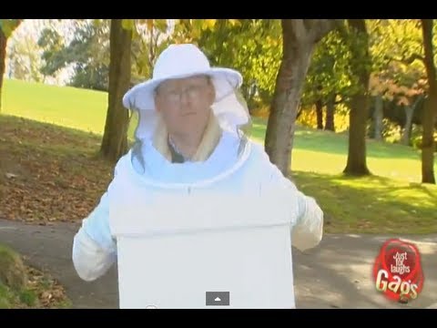 Bees Attack!
