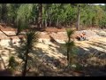 Sandblast Rallymoto Stage 2
