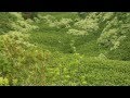 Maui Horse Riding - YouTube