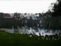 videos de zueira dois