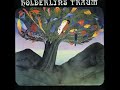 another dope track by the german band h�lderlin.
this time the 7 minutes instrumental monster 