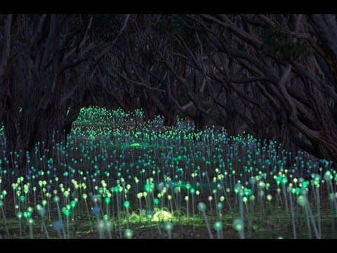 Caravan & Camping WA:  Field of Light Albany, episode 1