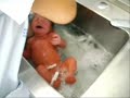 el baño del bebe.wmv