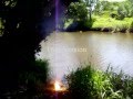videos de sparkler bomb compilation
