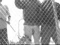 Colorblind (Racism through a dog\ Colorblind (Racism through a dog\