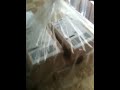 Arrival of my 8 iPhone 3gs 16 gig all white