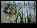 swamp monster part3