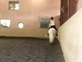 califa califa