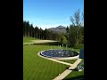 video1.mov Video