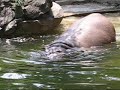 Philly Zoo 2007 Philly Zoo 2007
